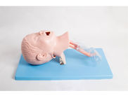 Tracheale Intubatie het Kindmannequins van de Opleidingsluchtroute