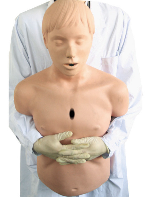 Half - het Model van de Lichaamsluchtroute/CPR-Reanimatiemannequin voor de Volwassen Eerste hulp van Heidegger