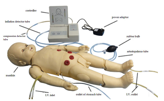Geplaatste auscultatiesimulator/Pediatrische Simulatiemannequin met ECG-Generator
