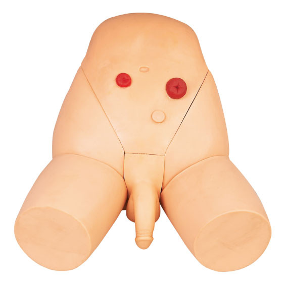 OEM Geavanceerde Mannelijke Urethrale Catheteriserensimulator Verzorgingsmannequin voor Opleiding