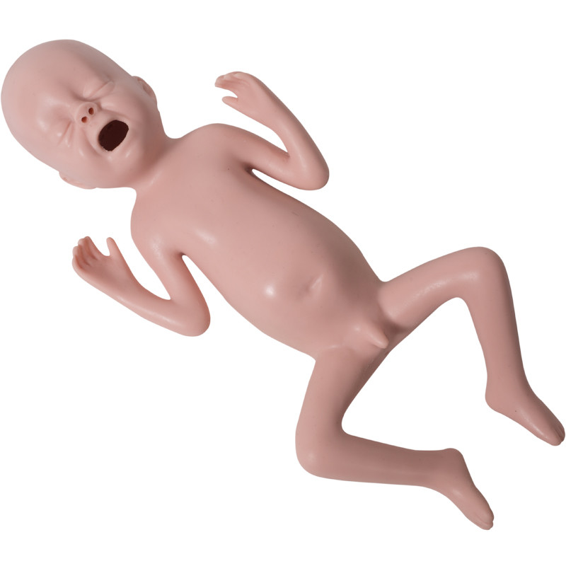 De voorbarige Mannequin van de Baby Pediatrische Simulatie met Palpation