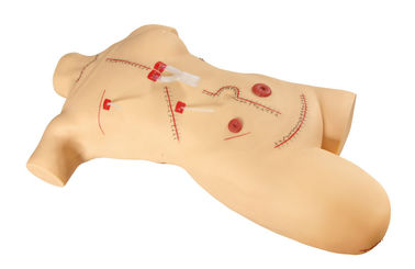 Volwassen lichaam met been die en chirurgische simulators/medische simulatie hechten verbinden