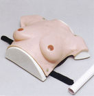 De vrouwelijke hogere borst van de de simulator modreate grootte van het lichaamsziekenhuis voor het onderzoek van de borsttumor