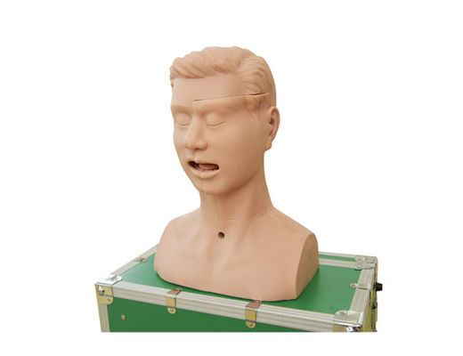 Klinische de Zuigingssputum van Verzorgingspvc Opleidingssimulator
