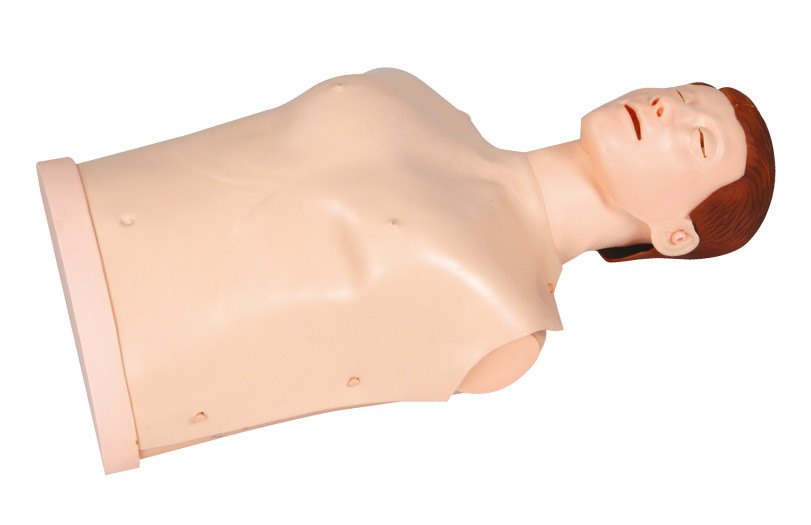 De eenvoudige Mannequins van de Typeeerste hulp met Halve Pieperuiteinden, - Lichaam CPR Opleidingsmodellen
