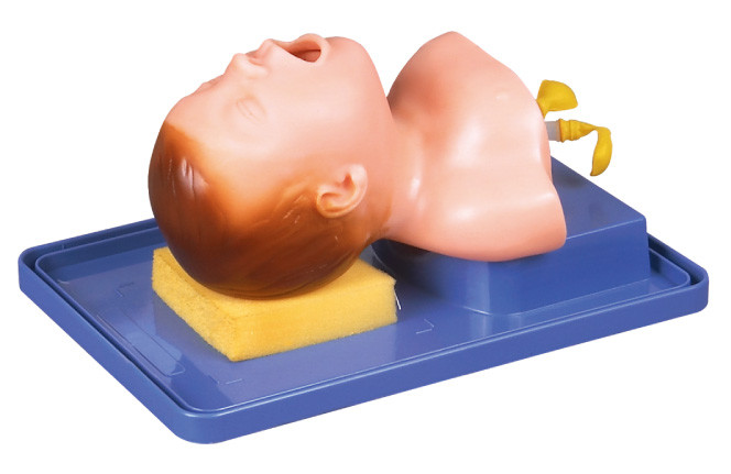 Realistische Pasgeborene met Hoofdanatomie voor Tracheale Intubatie Opleiding
