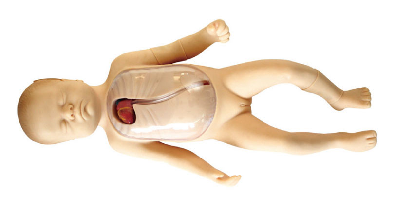 Pasgeborenemannequin met de aan de rand Opgenomen Centrale Simulatie van het Catheterkind