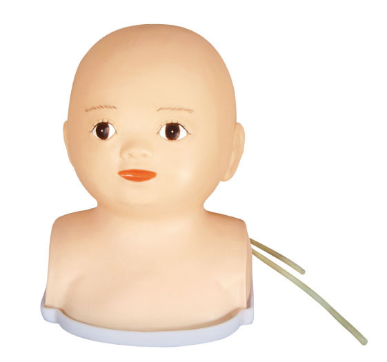 De geavanceerde Mannequin van de Zuigelings Hoofd Synthetische Pediatrische Simulatie voor Medische Scholen