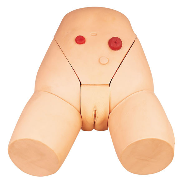 Geavanceerde Verzorgingsmannequin, Vrouwelijke Urethrale Catheteriserensimulator voor Opleiding