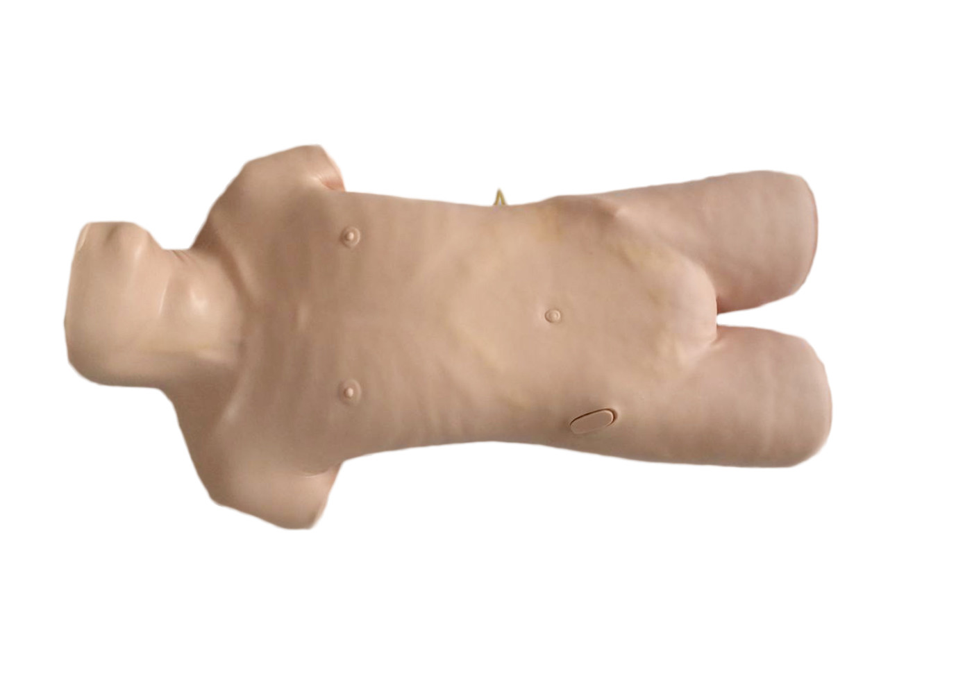 Realistische hogere abdominocentesismannequin van de lichaams klinische simulatie voor punctuurpraktijk