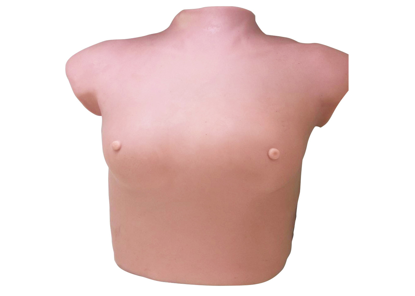De vrouwelijke hogere borst van de de simulator modreate grootte van het lichaamsziekenhuis voor het onderzoek van de borsttumor