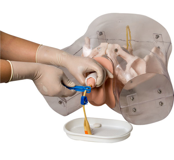 ISO-Mannelijke Urethrale het Catheteriserensimulator van pvc