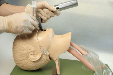 Realistische Anatomische Structuur met de Mond van Kinderen, Farynx, Tracheafor voor Intubatie Opleiding